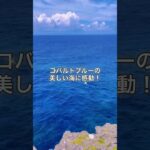 2023年 宮古島リトリートより。断崖絶壁もパワフル。そして深い青も美しい。#宮古島  #スピリチュアル  #リトリート