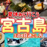 2023年 【宮古島】海で最大ハプニングあり！夏休みは宮古島に決まり！/この時期だけの完熟マンゴー食べたい🥭
