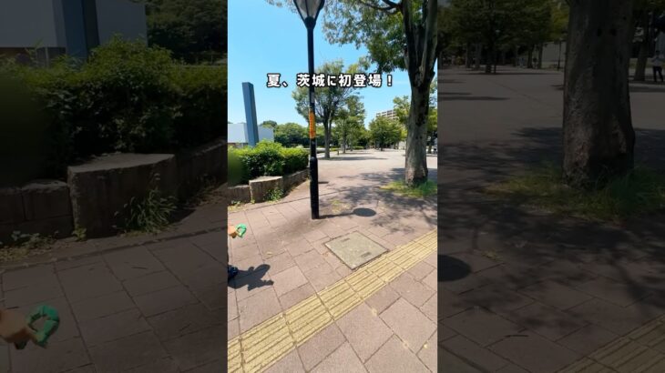 夏、【茨城】に初上陸！ #茨城 #茨城県 #子連れ #ポケモン #ポケふた #つくば市 #茨城観光