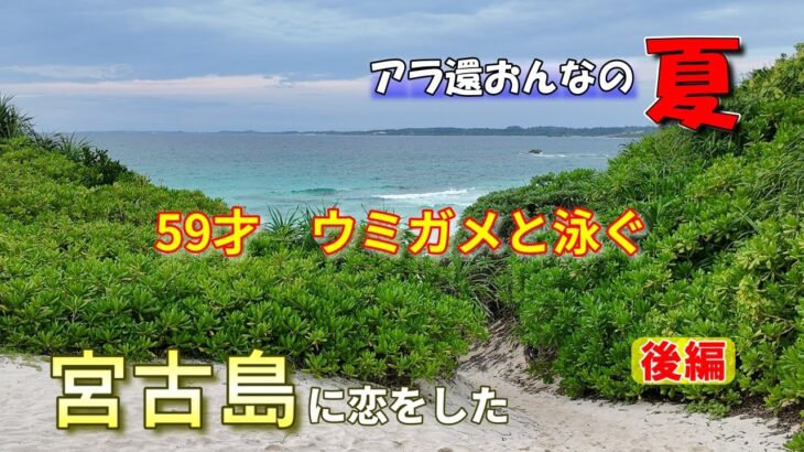 2023年 南の楽園【宮古島】おばちゃんウミガメと泳ぐ　宮古ブルー最高！