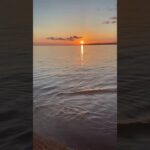 2023年 🧡沖縄に生まれてよかったなぁ〜と思う瞬間🥺