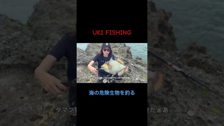 2023年 ［宮古島編］海の危険生物を釣りあげる