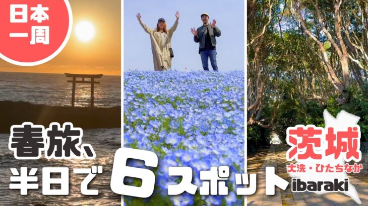 【茨城観光】春の茨城、満喫旅！　茨城｜神磯の鳥居｜大洗磯前神社｜酒列磯前神社｜ほしいも神社｜国営ひたち海浜公園｜らーめん現代｜ネモフィラ