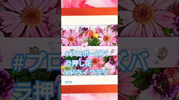 2023年 #宮古島プロポーズバラ押し花 #千葉プロポーズバラ押し花#軽井沢ブーケ押し花#ドライフラワー#結婚式#ブライダルブーケ押し花