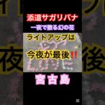 2023年 添道サガリバナ〜一夜限りで散る幻の花　#宮古島 #サガリバナ　#さがりばな