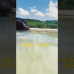 2023年 夏が来た‼️海ガメと泳ぐぞ‼️ #宮古島