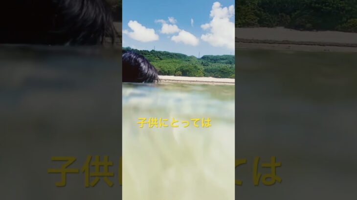 2023年 夏が来た‼️海ガメと泳ぐぞ‼️ #宮古島
