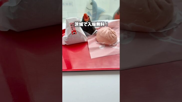 茨城グルメ【入場無料で楽しめるテーマパークが最高すぎました！】かねふく めんたいパーク大洗