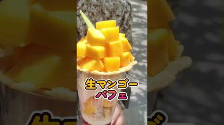 2023年 宮古島　ユートピアファーム　生マンゴーパフェ　生メロンソフト
