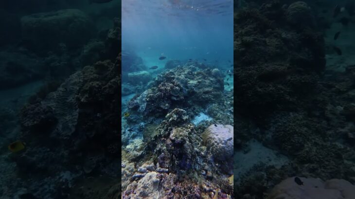 2023年 やっぱり宮古島の海は綺麗なぁ😍#vlog #宮古島 #シュノーケリング #リゾートバイト