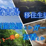 2023年 【vlog】宮古島移住生活🏝️断崖絶壁の絶景とファイト一発💪😆街中のガーと月桃のお香🌸🤗