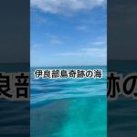 2023年 知られてない伊良部島の“奇跡の海”#伊良部島 #宮古島 #沖縄旅行 #サンゴ礁 #透明度 #シュノーケリング #癒し動画 #自然音 #vlog #海のある生活 #beachvibes