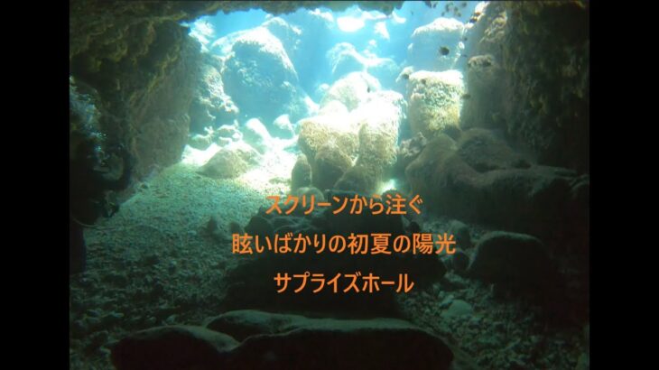 2023年 宮古島ダイビング「サプライズホール」with カピリナ 2025 06 24