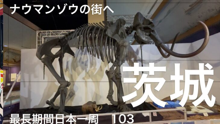 【#最長期間日本一周　103】 #鹿島アントラーズ #茨城観光　#マンモス もいるよ！　
