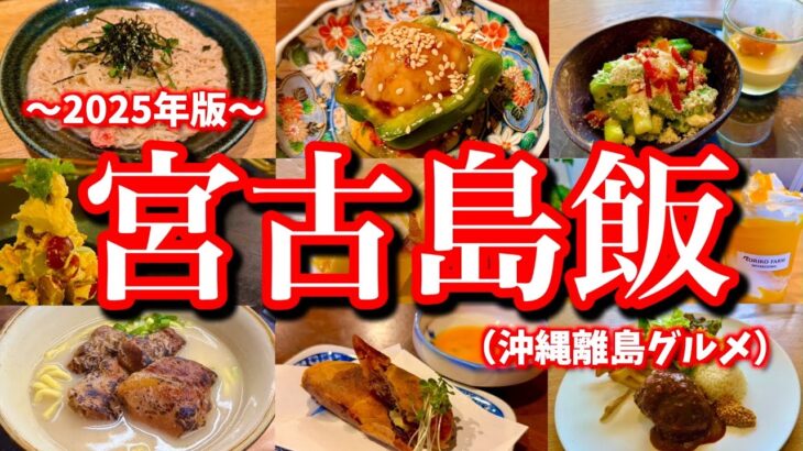 2023年 【宮古絶品グルメ】那覇空港を経由して宮古島へ！1泊2日でもここまで楽しめる、超弾丸宮古島ご当地グルメ旅が最高だった！