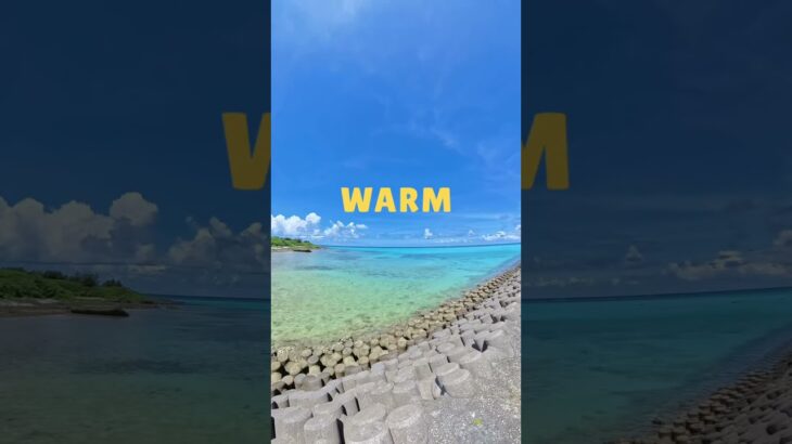 2023年 〔沖縄-宮古島〕宮古島旅行 #沖縄 #沖縄旅行 #宮古島 #宮古島旅行 #シーウッドホテル #長間浜 #ホワイトサンドビーチ #渡口浜 #17END #シュノーケリング