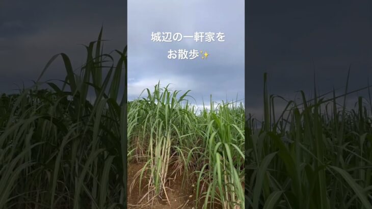 2023年 沖縄散歩【宮古島市 城辺】18時30分の景色
