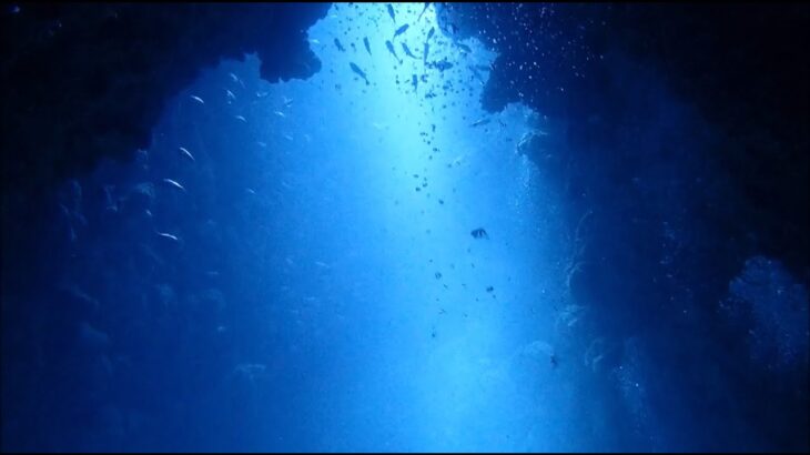 2023年 【宮古島：魔王の宮殿】2023年5月 ダイビング ① Miyakojima, Japan Scuba Diving