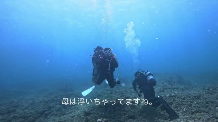 2023年 2024/06/15 宮古島　ワープホールとL字アーチでケーブダイビング