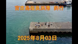 2023年 2025 08 03　宮古島佐良浜港釣行
