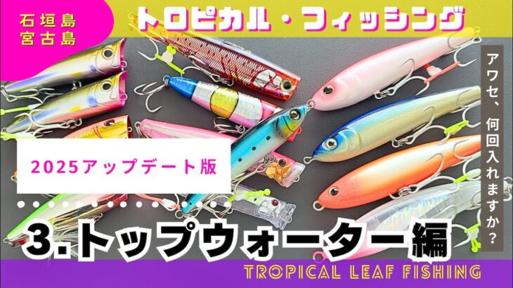 2023年 【石垣島・宮古島の釣り】トップでドカ～ン！/ナブラ/2025アップデート版/ライトゲーム
