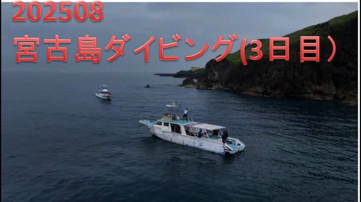 2023年 2508宮古島（3日目）