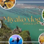 2023年 初の宮古島🐢3泊4日で海もご飯も大満足vlog🌺