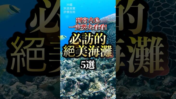 2023年 到宮古島一定要去看看！必訪的絕美海灘5選#宮古島 #沖繩旅遊
