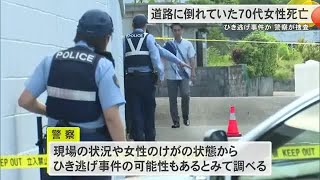 2023年 ひき逃げか　宮古島市の路上で倒れていた70代女性が死亡　名護市でもオートバイひき逃げ （沖縄テレビ）2025/08/20