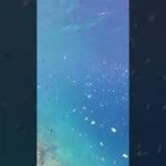 2023年 7/4 宮古島