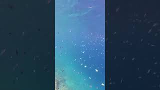 2023年 7/4 宮古島