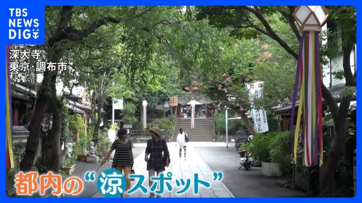 “猛暑知らず”8月平均気温27℃の避暑地・北茨城市＆都心からアクセス良好の深大寺が人気！涼しさの理由とは？｜TBS NEWS DIG