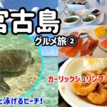 2023年 【宮古島グルメ旅】＜DAY2＞ウミガメと泳げるビーチ！？宮古島ならではのモーニングビュッフェやハワイ顔負けのガーリックシュリンプと出会う♪