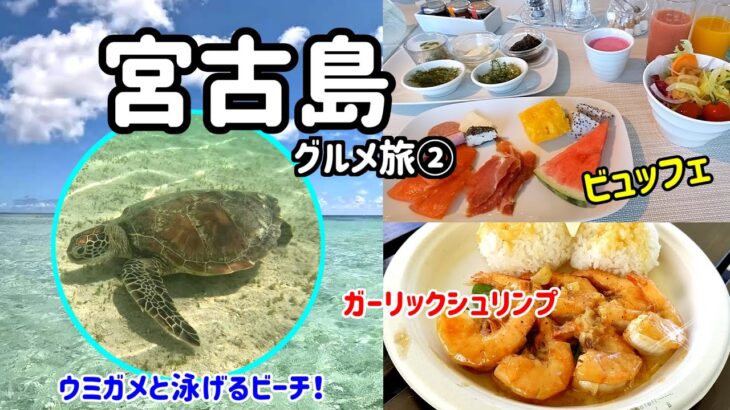 2023年 【宮古島グルメ旅】＜DAY2＞ウミガメと泳げるビーチ！？宮古島ならではのモーニングビュッフェやハワイ顔負けのガーリックシュリンプと出会う♪