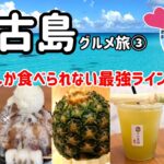 2023年 【宮古島グルメ旅】＜DAY3＞宮古島グルメが総結集！「てびち」に「ラフテー」さとうきび丸ごとジュースやマンゴーパフェなど盛沢山！