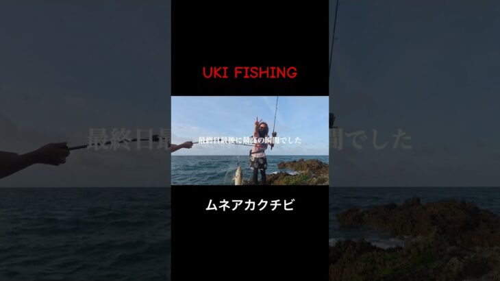 2023年 ［宮古島］最終日の朝マズメ短時間勝負！ラストにムネアカクチビがHIT🔥