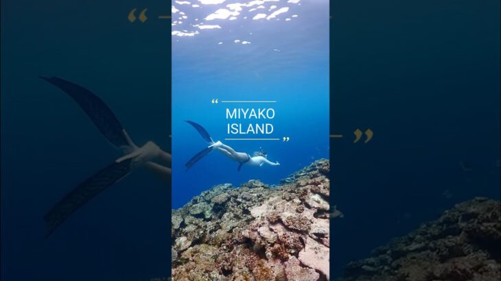 2023年 MIYAKOISLAND 宮古島-真謝ビーチ#miyakojima #スキンダイビング #宮古島ダイビング #underwater #freediving #シュノーケリング #宮古島