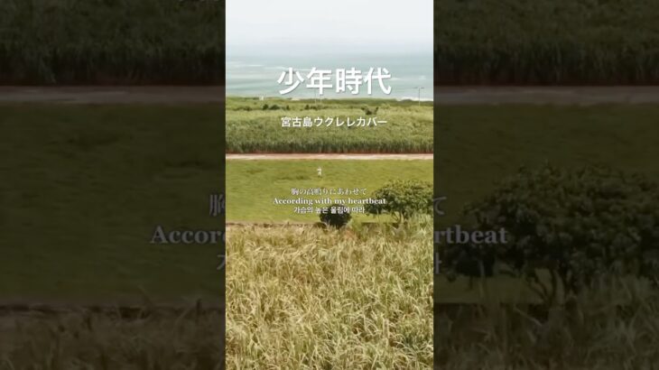 2023年 少年時代／Masa宮古島ウクレレカバー 夏の終わりを感じられる日本の名曲ですね🌻 チャンネル内にフルVer.公開中です✨ #少年時代 #미야코지마#冲绳 #宫古岛 #miyakoisland
