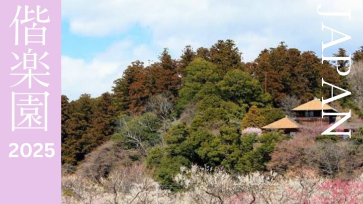 茨城県水戸市。水戸駅、ホテル、観光スポット、温泉、千波湖、偕楽園を紹介します。Mito City in Ibaraki pref. KAIRAKUEN PARK@oyakatasekai