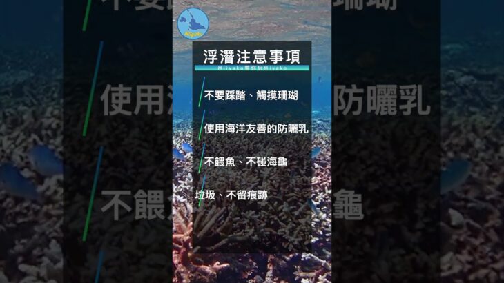2023年 歡迎來宮古島浮潛～小提醒～注意喔～ #旅行#宮古島#Miyakojima@snorkeling