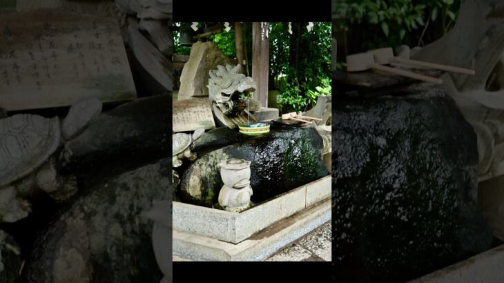 茨城県下妻市の大宝八幡宮をNikon zfcで撮影 #写真 #神社#観光 #旅行 #夏