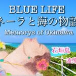 2023年 【Okinawa一人旅】BLUE LIFE〜ネーラと海の物語〜石垣島,波照間,宮古島etc…