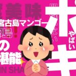 2023年 宮古島唯一のポキ専門店専門店”POKEBOOとPENGUIN SHAVE ICEのご紹介