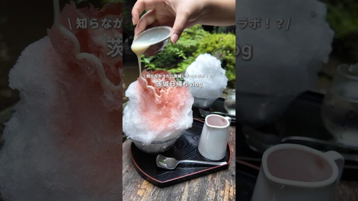 茨城に超穴場のチームラボあるってみんな知ってた！？　　　#夏休み #茨城 #日帰り旅行 #チームラボ #PR