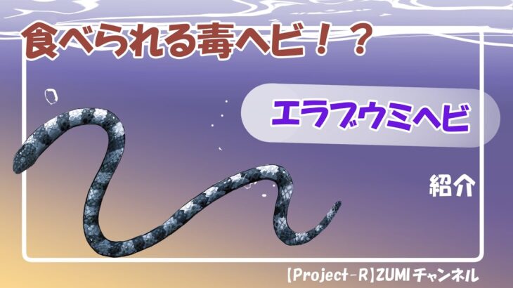 2023年 【エラブウミヘビ】みやち&うみかの宮古島生物紹介！ Part3 #就労支援B型事業所 #宮古島 #生き物