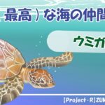 2023年 【ウミガメ】みやち&うみかの宮古島生物紹介！ Part7 #就労支援B型事業所 #宮古島 #生き物