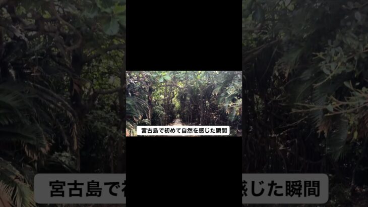 2023年 宮古島Vlog｜ショート #社会人 #routinevlog #vlog  #20代