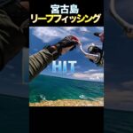 2023年 今日も平常運転ですっ！#釣り #fishing #リーフフィッシング #宮古島