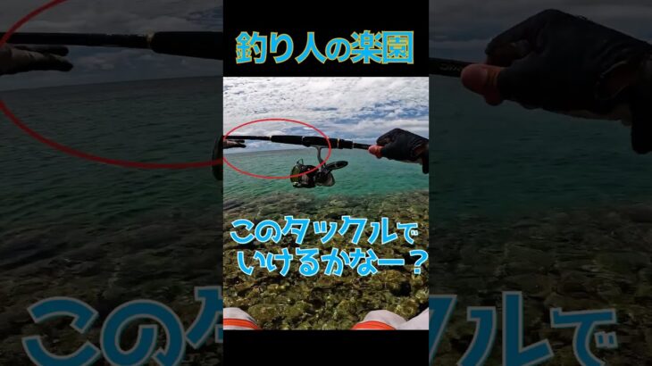 2023年 釣り人の楽園① #釣り #fishing #リーフフィッシング #宮古島
