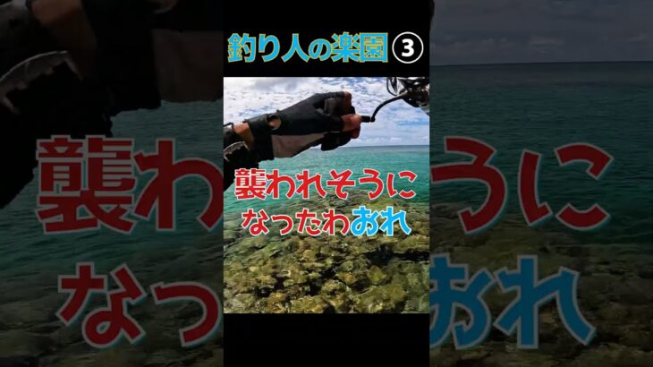 2023年 釣り人の楽園③襲いかかる魚…#釣り #fishing #リーフフィッシング #宮古島
